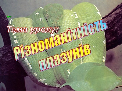 Урок з біології Різноманітність плазунів